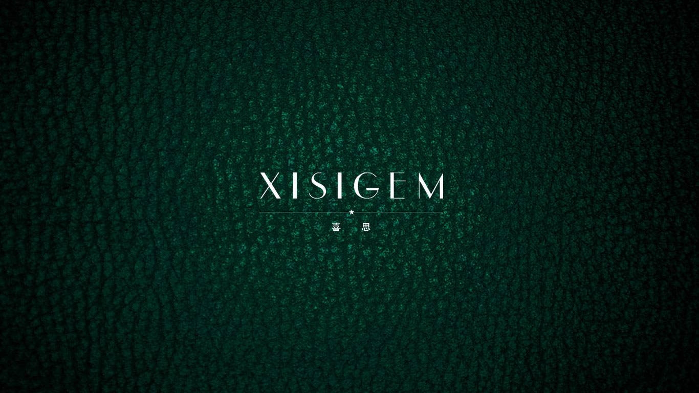 喜思原網(wǎng)站首頁設(shè)計——重慶網(wǎng)站建設(shè)公司(天蠶公司)